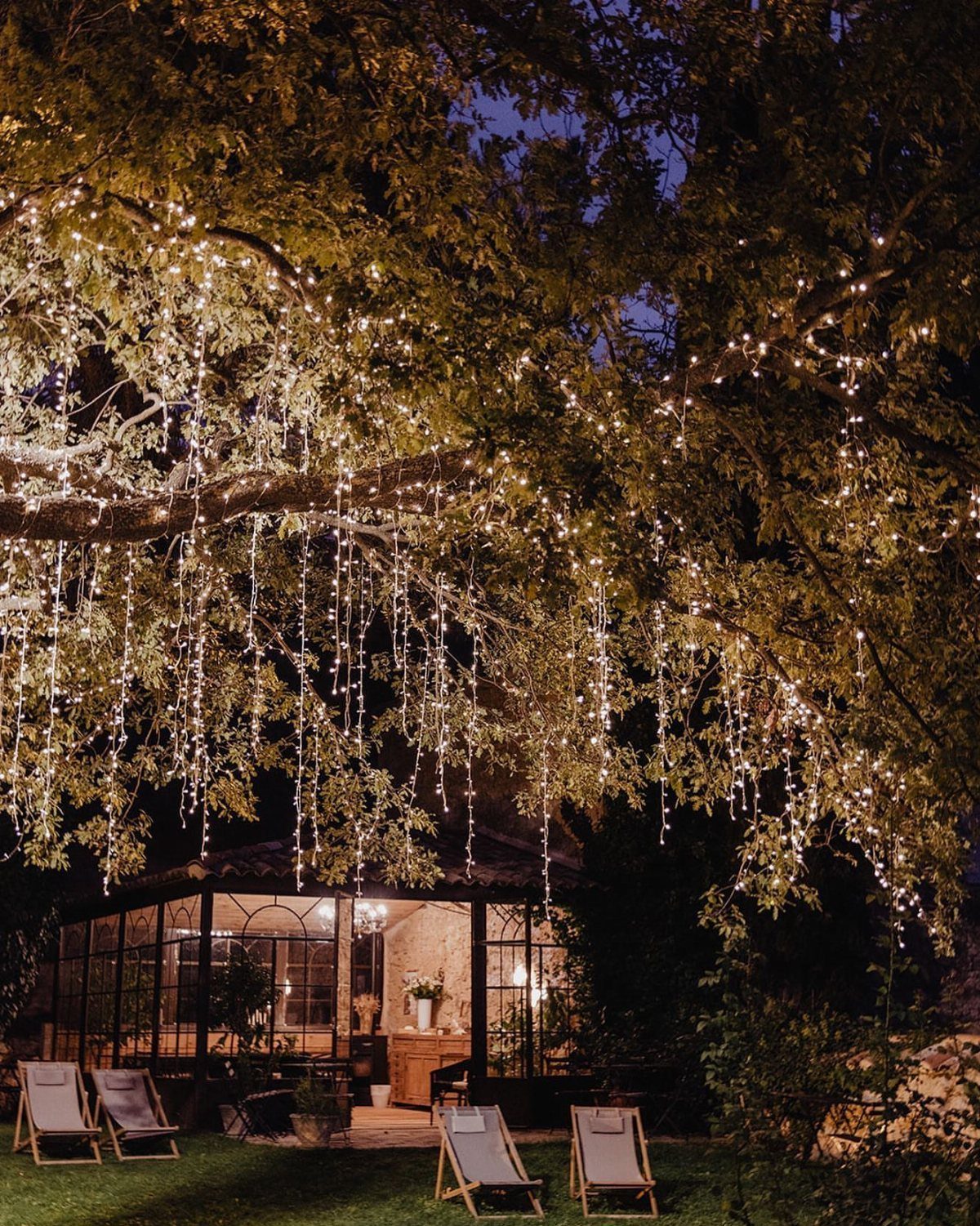 Fairy lights draped over tree branches creating a glowing canopy in a garden.