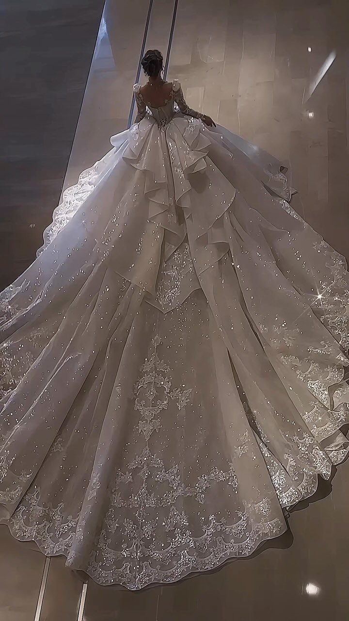 Elegant Princess Wedding Dress Styles in 27 Ideas 20 Voluminous white wedding dress with sparkling ruffles and lace embroidery seen from behind.