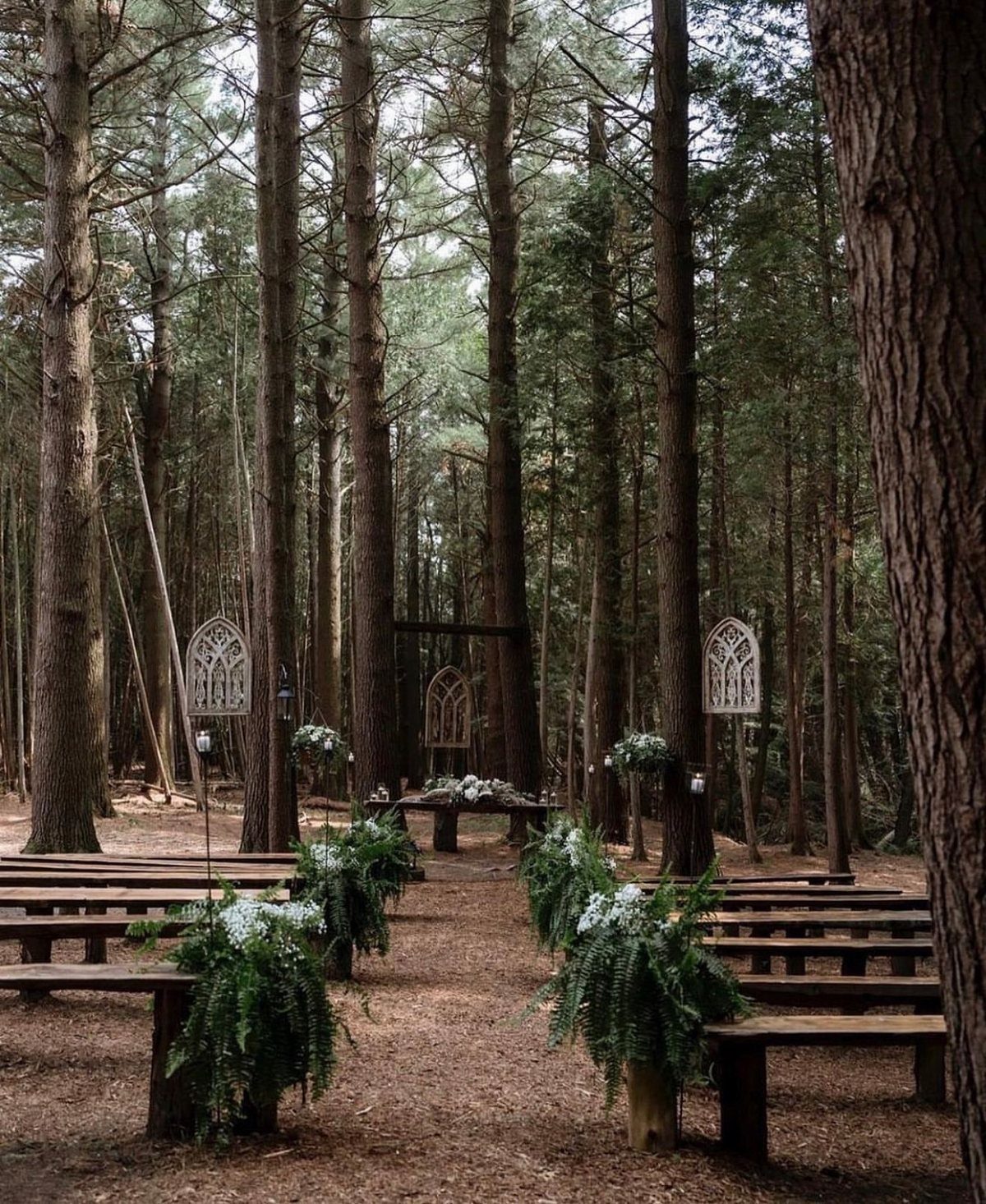 19 Forest Theme Wedding Decorations From Greenery Canopies to Candlelit Paths 19 Wooden benches and greenery-decorated aisle markers lead toward a small altar in a tall pine forest.