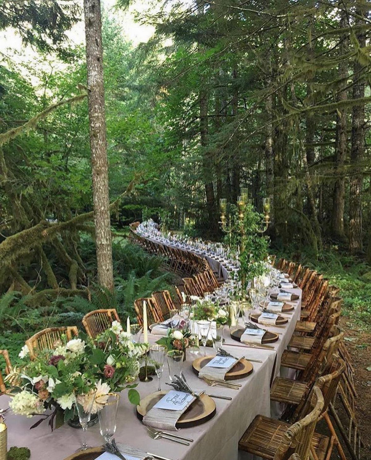 19 Forest Theme Wedding Decorations From Greenery Canopies to Candlelit Paths 5 A long wedding reception table decorated with flowers and greenery set deep within a lush forest.