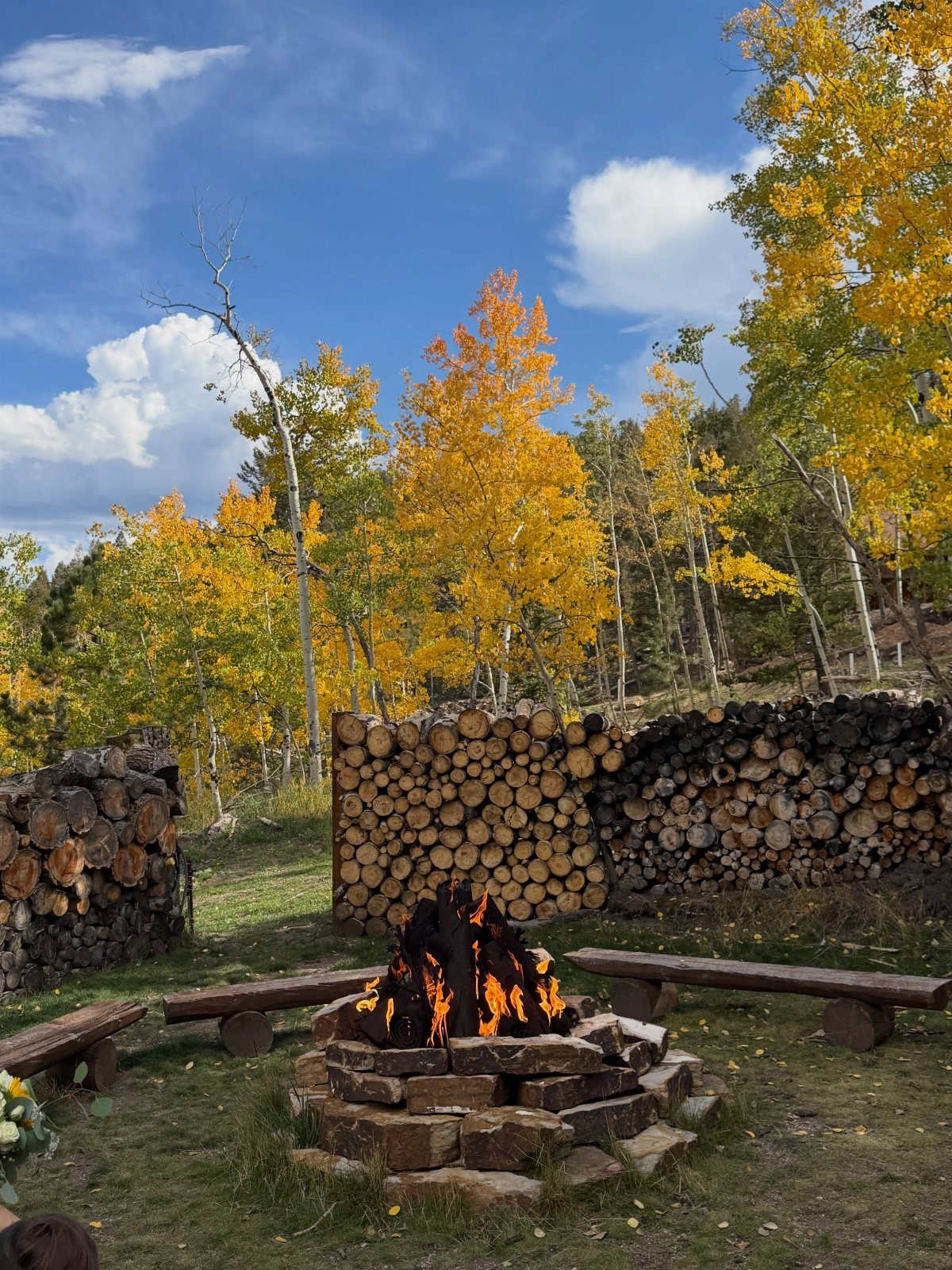19 Mountain Wedding Ideas for Scenic, Cozy Celebrations 15 Burning fire pit with wooden benches and log stacks among yellow autumn trees.