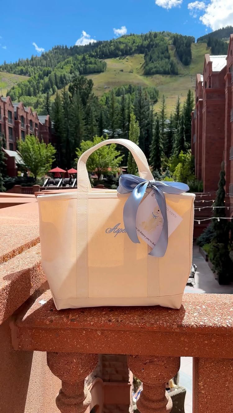 19 Mountain Wedding Ideas for Scenic, Cozy Celebrations 16 Cream canvas tote bag with blue ribbon on a ledge overlooking mountain resort.
