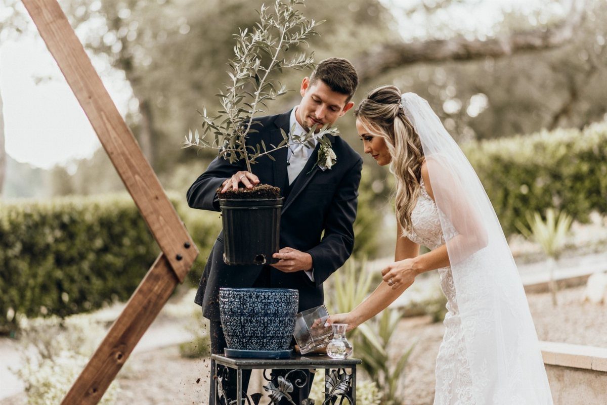 Bride and groom planting a small olive tree into a blue ceramic pot.