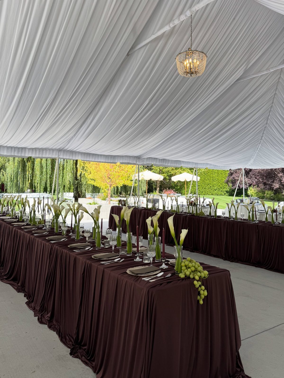 Wedding Decor Brown: How to Use It in 8 Elegant Ways 2 Long banquet tables with dark brown pleated linens and white calla lily centerpieces under a white tent.
