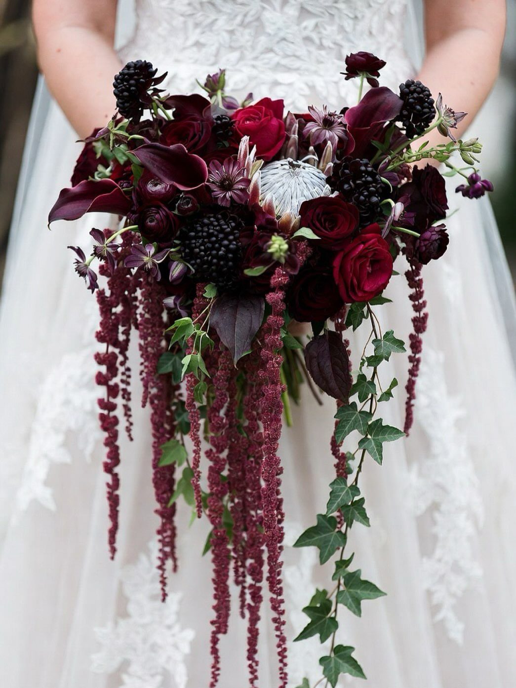 Wedding Flower Trends: 36 Ideas from Jewel Tones to Arches 5 Burgundy wedding bouquet with cascading amaranthus and ivy held against a white lace dress.