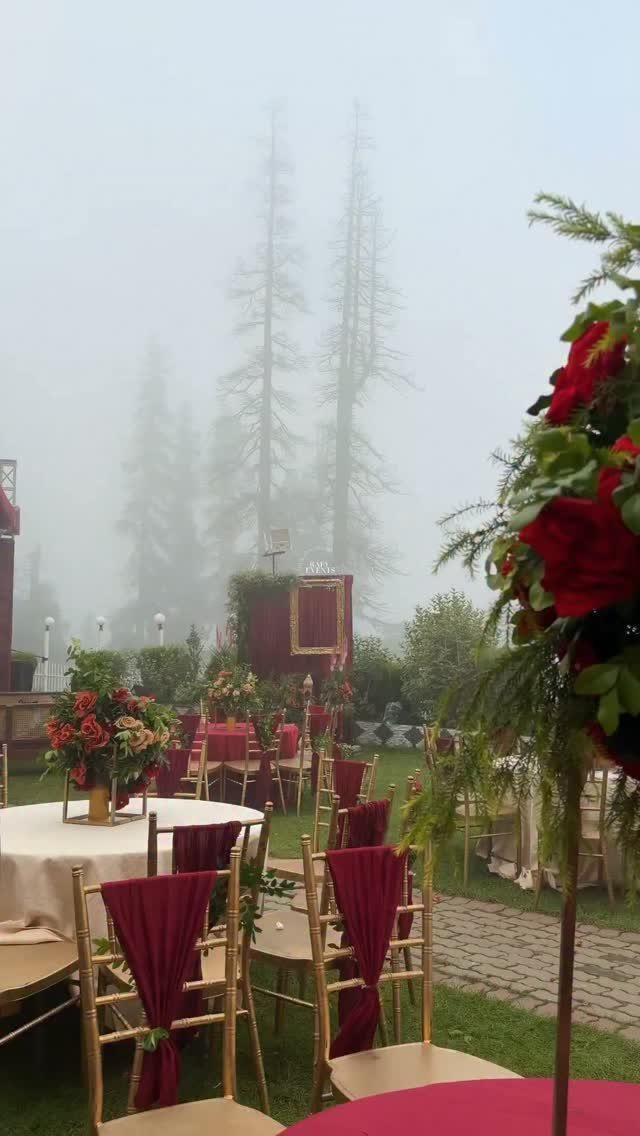 Outdoor wedding reception with gold chairs, burgundy sashes, and red flowers in fog.