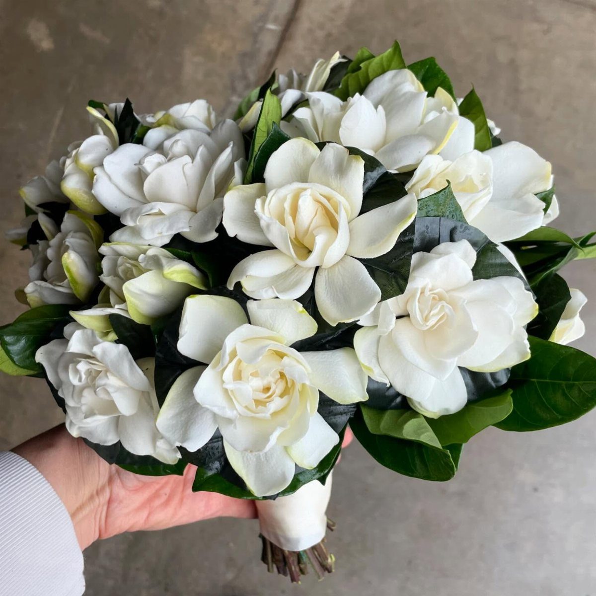 Wedding Theme Flowers: 21 Ideas for Ceremony to Cake 13 A hand holding a large bouquet of white gardenia flowers with deep green leaves.