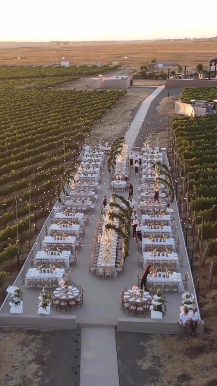 Wedding Themes 2026: 12 Ideas You Will Actually Want to Steal 4 Aerial view of a wedding reception setup with white tables located between rows of a vineyard.