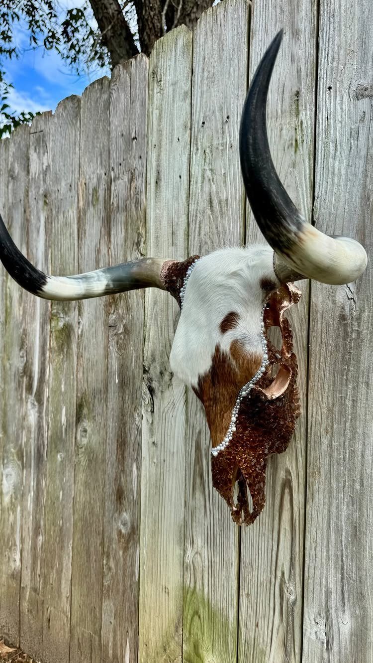 Decorative cattle skull with rhinestone trim mounted on a rustic wooden fence.